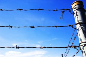 Jail Barbed Wire